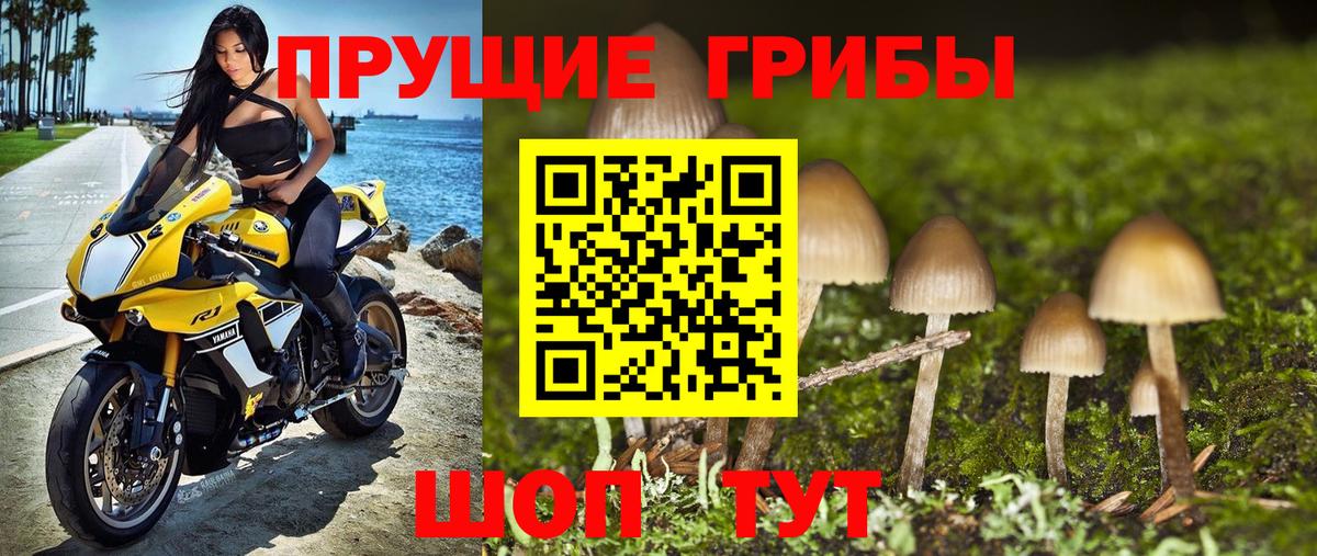 купить наркотик  Вход с VPN  Галлюциногенные грибы мухоморы  Усолье-Сибирское  Галлюциногенные грибы ЛСД 